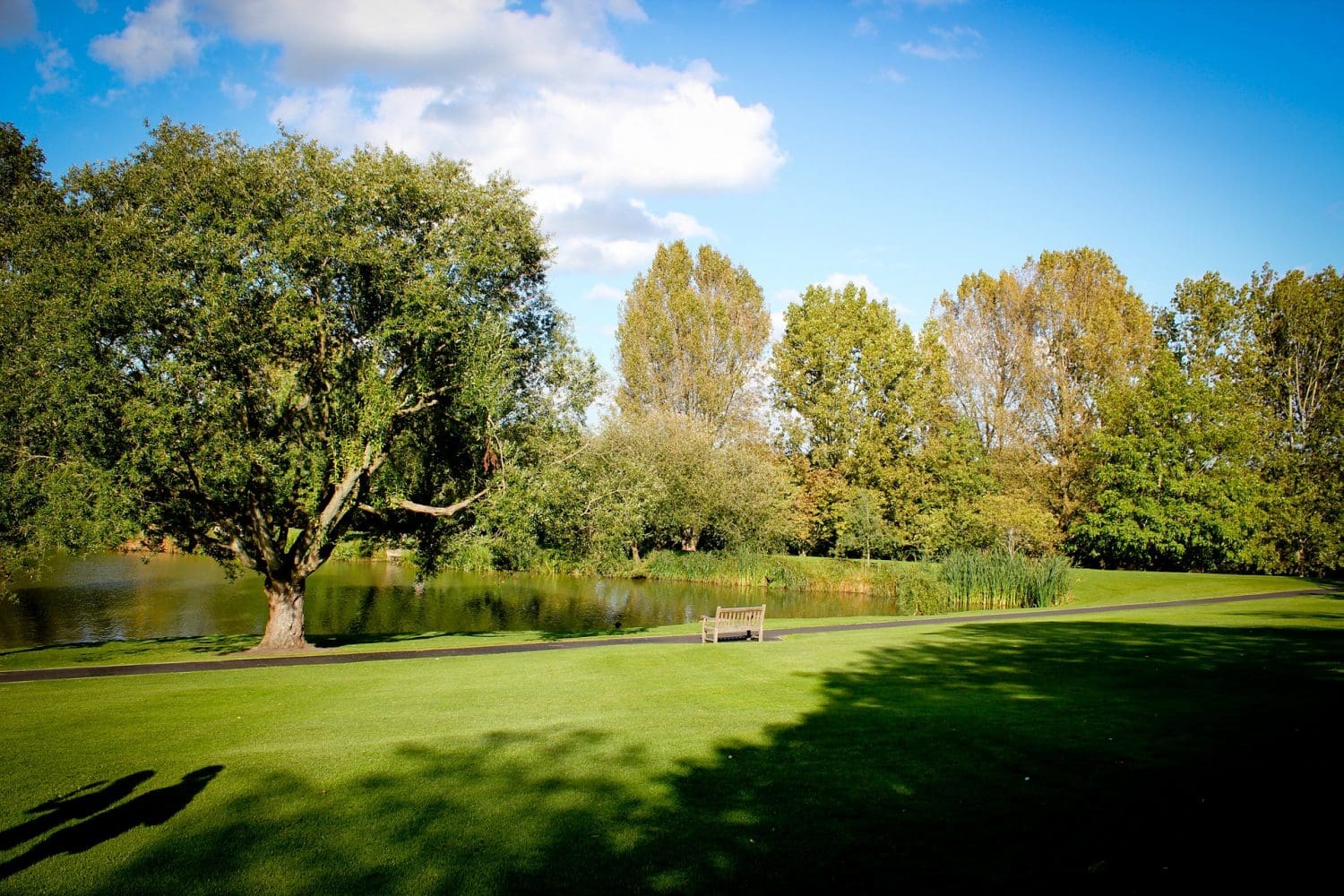 Surrey