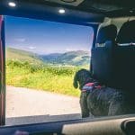 dog friendly campervan hire