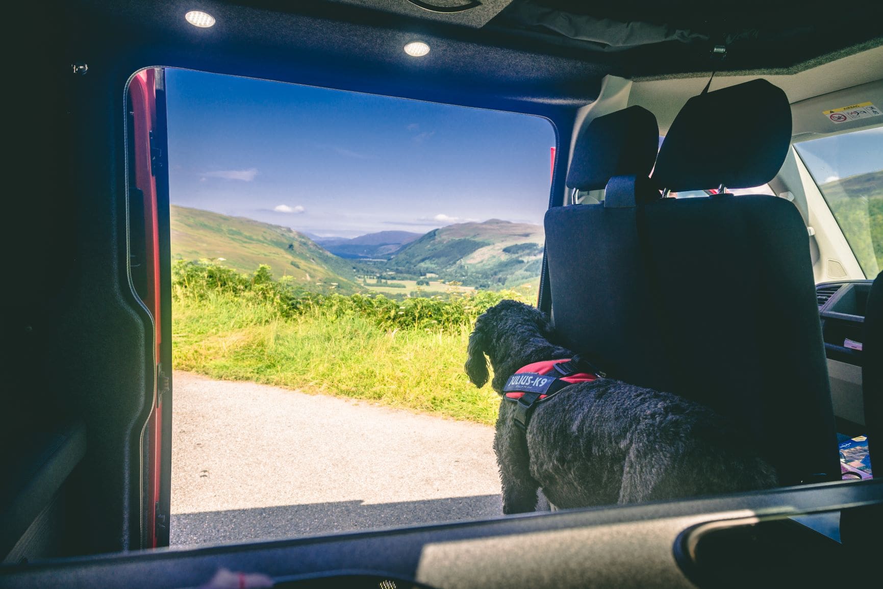 dog friendly campervan hire