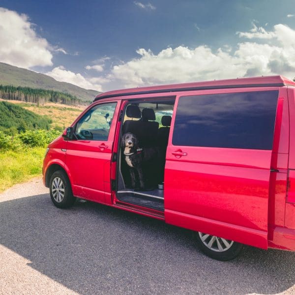 dog friendly campervan hire